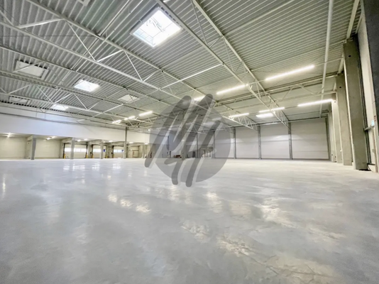 INFOS UNTER: 06171-586000