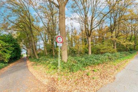 Brüggen Bauernhöfe, Landwirtschaft, Brüggen Forstwirtschaft