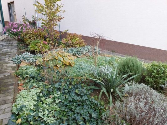 Bild 14