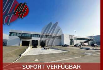 INFOS UNTER: 06171-586000