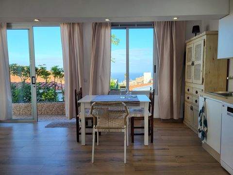 Puerto de la Cruz Häuser, Puerto de la Cruz Haus kaufen