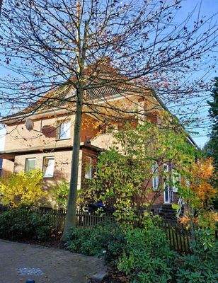 Hausansicht seite.jpg