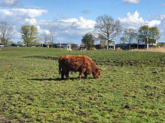 Ferienhaus Holland kaufen 022