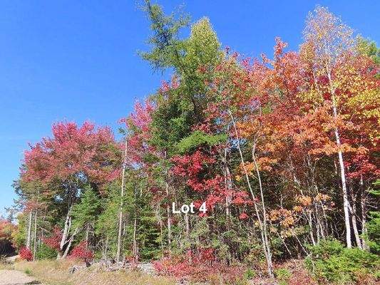 Nova Scotia - West Side Country Harbour - Preiswer