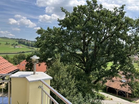 Ausblick vom Balkon