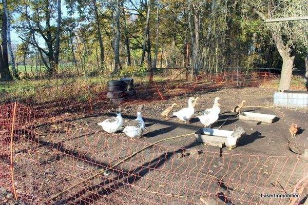 und hier was für Weihnachten