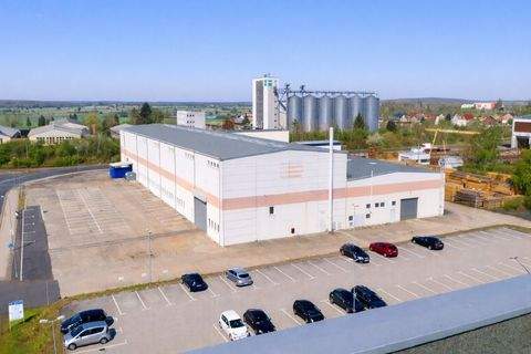 Grimma Halle, Grimma Hallenfläche