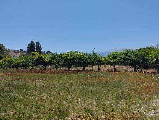 Kreta, Kalyves: Grundstück ideal für Investitionen in Kalyves