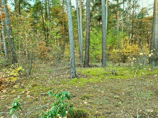 06 GS vor Bungalow.jpg