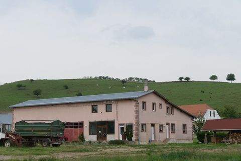 Baranya Komitat Bauernhöfe, Landwirtschaft, Baranya Komitat Forstwirtschaft