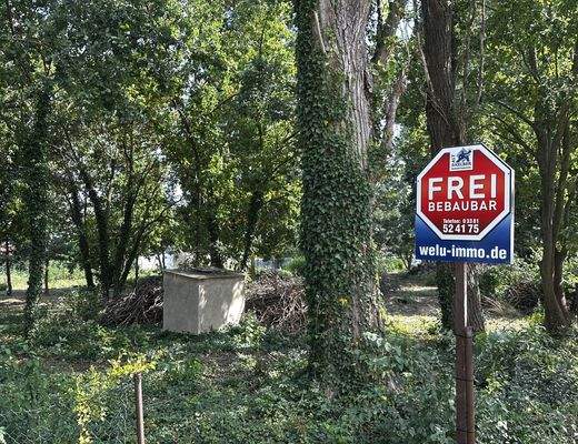 Grundstück Bild 5.jpg