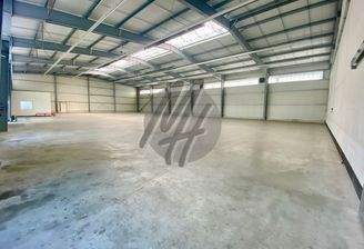 INFOS UNTER: 06171-586000