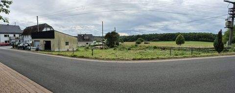 Schmidthahn, Steinebach an der Wied Grundstücke, Schmidthahn, Steinebach an der Wied Grundstück kaufen