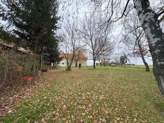 Danstedt6 Wiese hinter dem Haus