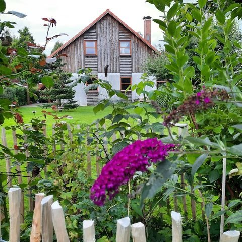 Süderstapel Häuser, Süderstapel Haus kaufen