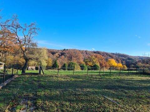 Birkenbeul Häuser, Birkenbeul Haus kaufen