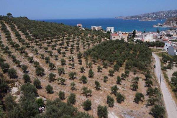 Kreta, Kalyves: Weitläufiges Grundstück mit Meerblick zu verkaufen