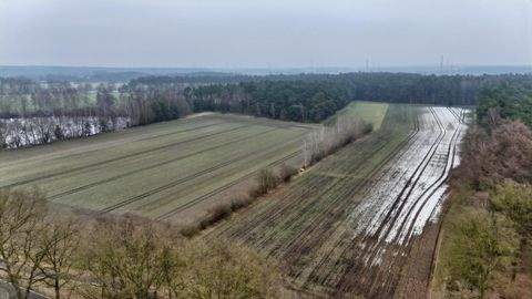 Samern Bauernhöfe, Landwirtschaft, Samern Forstwirtschaft