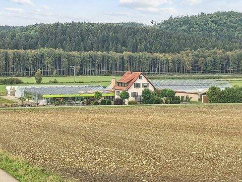 Dischingen Häuser, Dischingen Haus kaufen