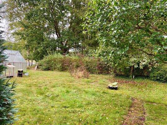 Garten links vom Haus