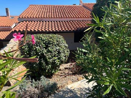 WhatsApp Bild 2025-10-05 um 19.52.35_e814a6e6.jpg