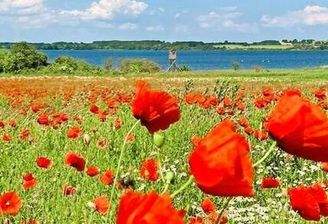 Naturparadies Dassow