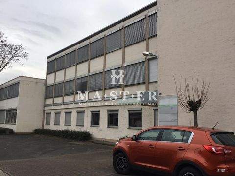 Frankfurt Büros, Büroräume, Büroflächen 