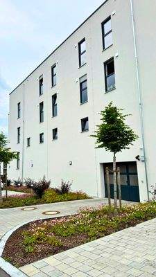 20250603 BUL EF (3).jpg