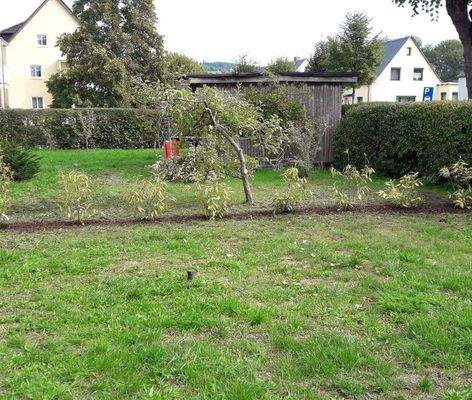 2 Gartenanteile im EG mit Treppenzugang