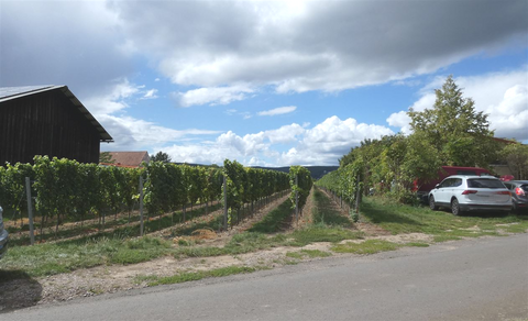 Herxheim am Berg Häuser, Herxheim am Berg Haus kaufen