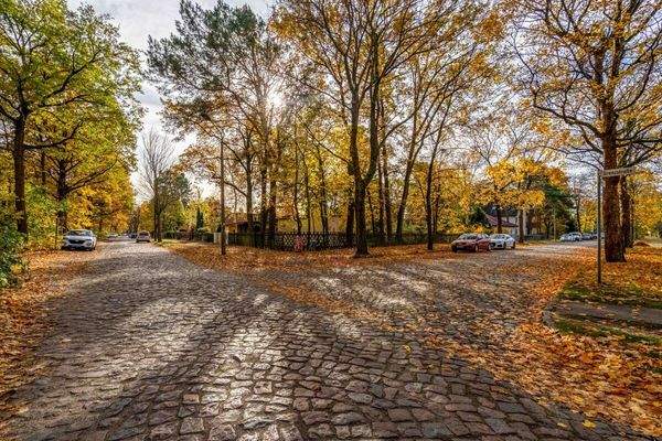 Pool & Freizeithaus am Waldrand