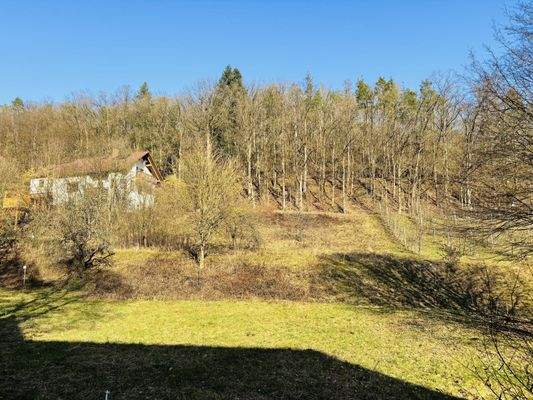 Grundstücksimpressionen im Winter / Ansicht von Westen zum Grundstück
