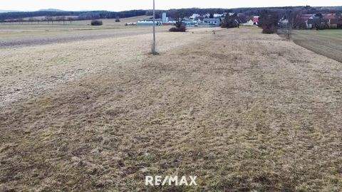 Steinberg Grundstücke, Steinberg Grundstück kaufen