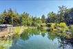 Garten mit Schwimmteich 