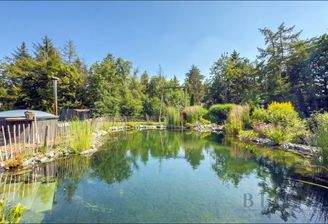 Garten mit Schwimmteich 