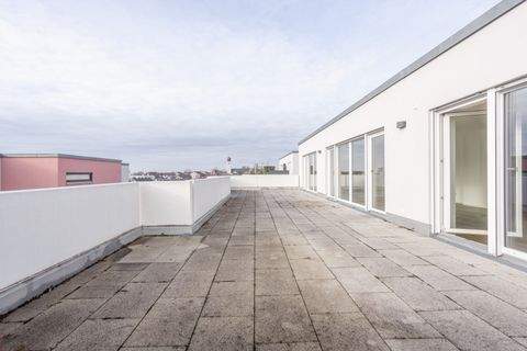 Kressbronn am Bodensee Wohnungen, Kressbronn am Bodensee Wohnung mieten