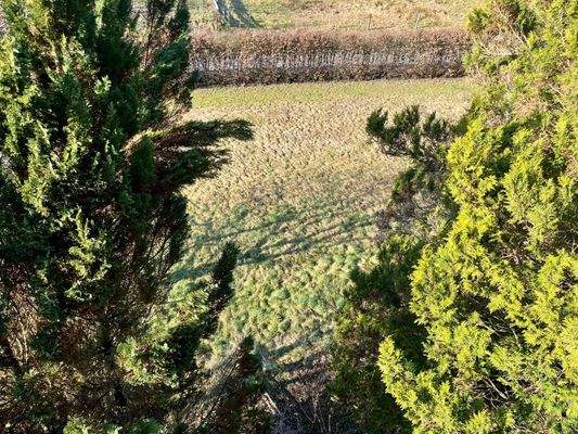 Blick vom Balkon in den Garten