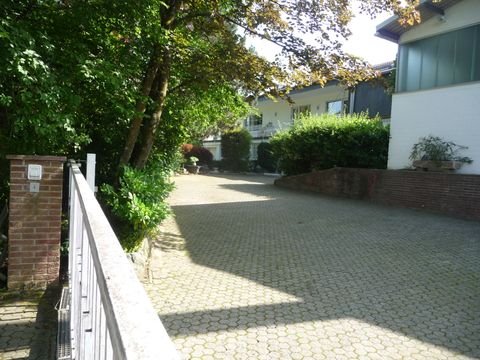 Modautal Halle, Modautal Hallenfläche