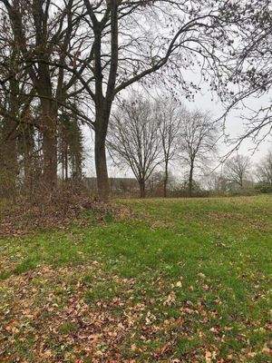 Blick auf das Grundstück 