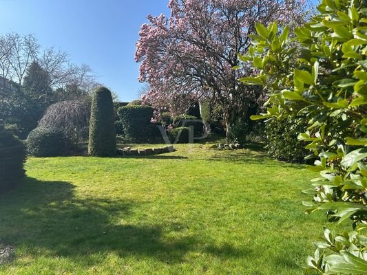 Ausschnitt Garten