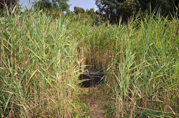 41 vollbiologische Klärgrube.JPG