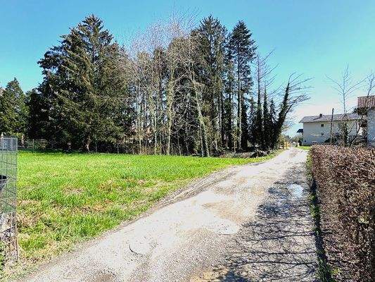 Zufahrt zum Grundstück