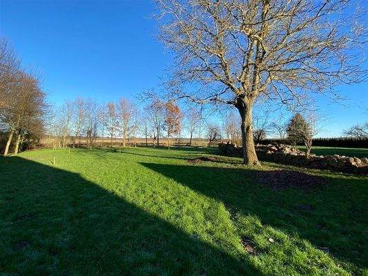 Hinterer Grundstücksteil