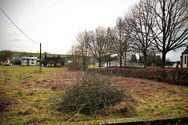 Pfarrwies  – 54534 Großlittgen