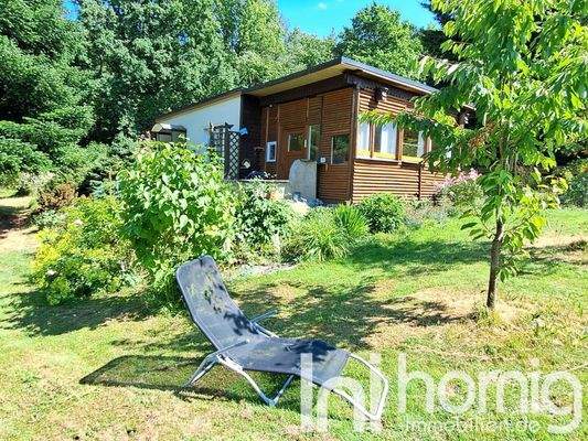 Blick aus dem Garten