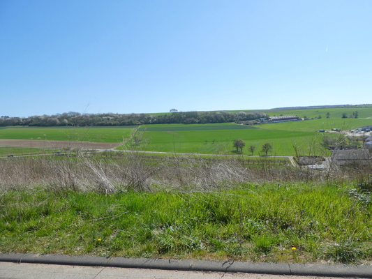 baugrundstück_kaufen_wincheringen_a21564 (3)