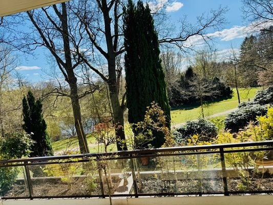 Blick in den Park