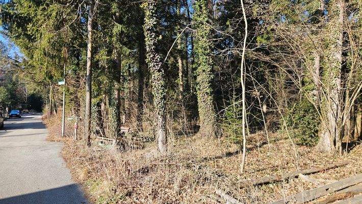 In direkter Umgebung