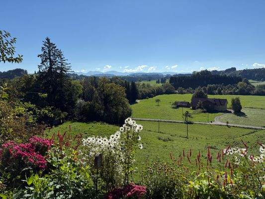 Blick von der Terrasse