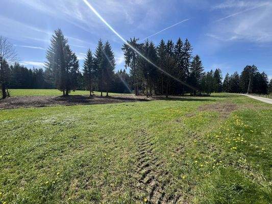 Freizeitgrundstück mit kleinem Waldanteil